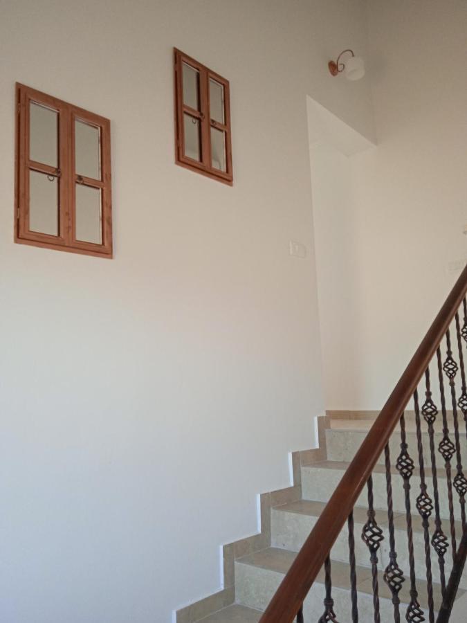 Casa Di Marko-New Modern Rustic House With Pool And Spacious Garden! Privlaka  Exterior foto